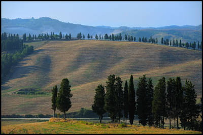 toscanemonde.1288555642.jpg