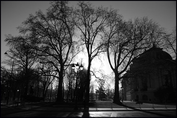 _JW17990MONDE