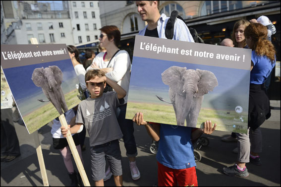 PARIS: March demanding action to stop rhino and elephant poaching