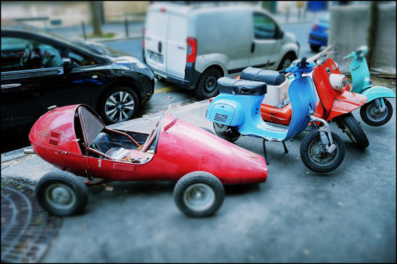 _JW16519vespamonde