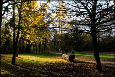 Colors of autumn in the Bois de Boulogne. Paris, FRANCE-8/11/15
