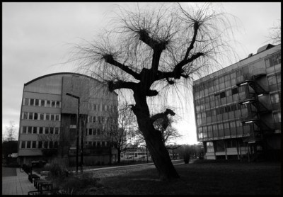 DSCF7356nbStgmonde