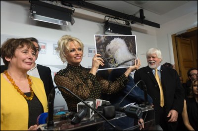 Laurence Abeille, Pamela Anderson, and Paul Watson. US actress Pamela Anderson and the French deputy  Laurence Abeille  give a press conference next to environmental activist Paul Watson to protest the force-feeding of geese used in the production of foie gras. Paris, FRANCE-19/01/2016