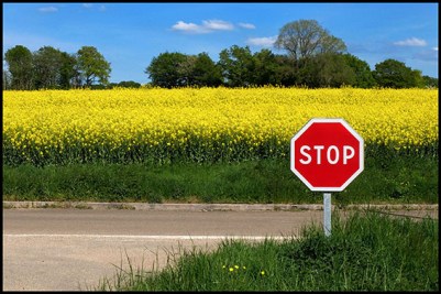 choixcampagne042stopmonde