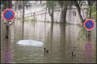 A car under water with ducks. The flooding Seine river is seen after heavy rain in Paris in France on June 04, 2016.