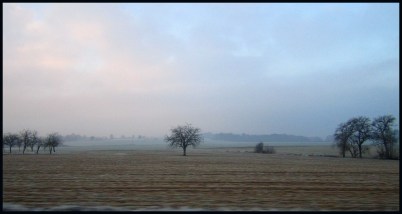 IMG_0985C - copie