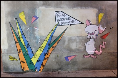 maraiscorrmonde005